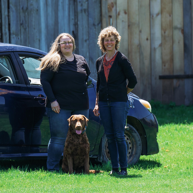 Mobile veterinary service car